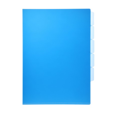 A4, 180 μm folder, calligrata, 5 departments, translucent, mix-2