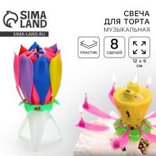 Candle for Cake Musical 