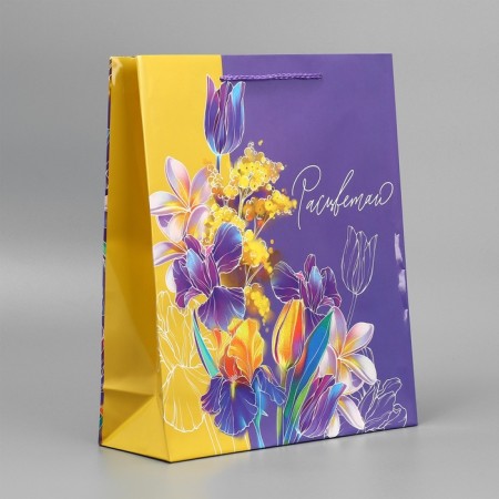 Gift package laminated, packaging, "bloom", m 24 x 29 x 9 cm-3