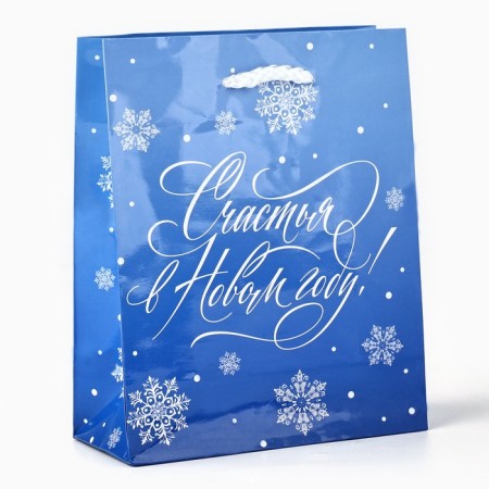 Package New Year's laminated “Happiness in the New Year”, S 12 x 15 x 5.5 cm