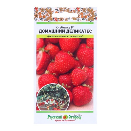 Strawberry seeds Home delicacy F1 10 pcs