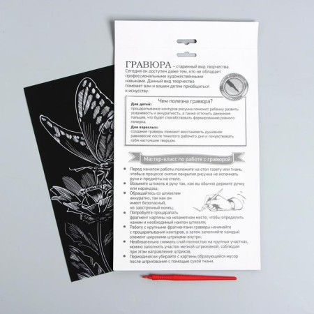 Engraving on the “butterfly on the flower” substrate with the metallic effect “silver” A4-4