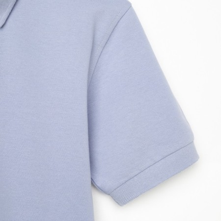 T-shirt (Polo) Male Minaku Regular Fit: Gray Color, Rr. 44-7