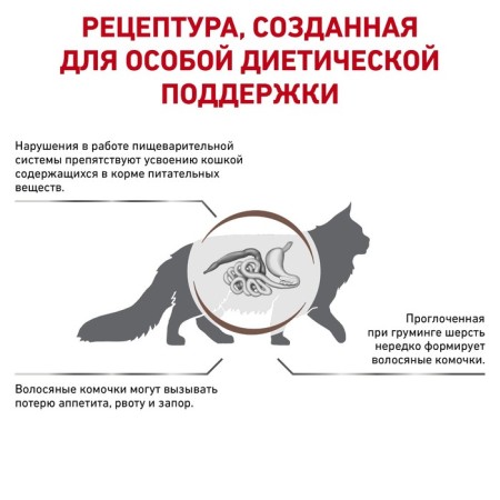 Dry food RC GastroinTestinal Hairball Control for Cats, 2 kg-1