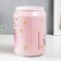 Pigpine Plastic "Bank. Bunny" code castle, sound aa pink 14x21 cm