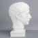 Gypsum figure Germanica head, 19 x 25 x 36 cm