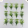 Artificial plant for creativity "Araucaria" set 12 pcs green 9.5 cm