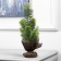 LED Figure "spruce" 30 x13 x13 cm, 10 LED, AG13X3 batteries (included), glow warm white