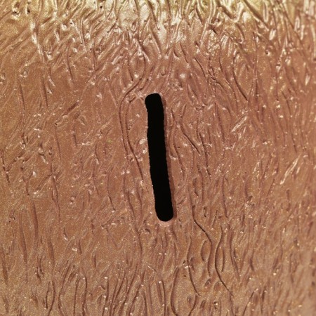 Копилка "Киви" 17см-3