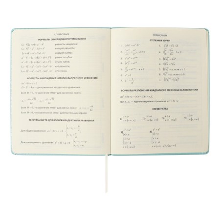 Universal diary for grade 1-11 Leaf, solid cover, artificial leather, foam, embossing foil, liesse, 80 g/m2-7