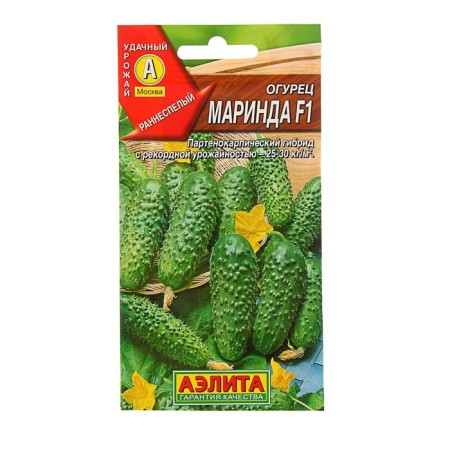 Marinda cucumber seeds F1, Early Nednie, Parthenocarpic, 0.25 g (10pcs)-2