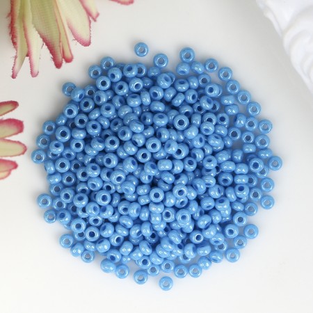 Czech Republic "Gamma" Round 1 "10/0 5g (A210 Blue) Mix