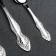 Set of cutlery "Slavyanka", 36 items, decorative box