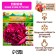 Peony "Many Happy Return", rr 3/5, 1 pc,
