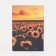 Cover for passport, colorful color
