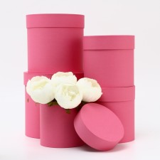 Set of hats 5V1, pink, 20 x 20 - 13 x 13 cm