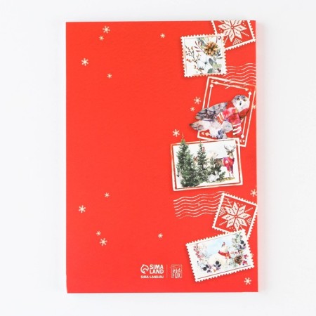 Gift New Year's set "Happy New Year!": Diary in a thin cover, A5, 80 sheets and pen, plastic-3