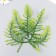 Decor for creativity "Leaves of the forest fern" set 5 pcs Green 15 cm