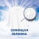 Washing powder myth "Frosty freshness", manual washing, 400 g