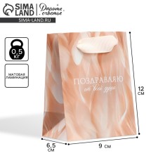 Gift Package Laminated, packaging, “Congratulations”, 9 x 12 x 6.5 cm