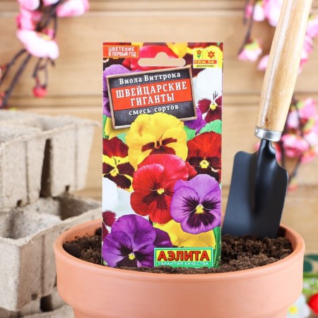 Viola flowers "Swiss giants", vittroka, a mixture of varieties, dv, 0.1 g