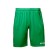 Gaming shorts ATEMI, green color, ASHO-002SS23-GRN, 2XL size