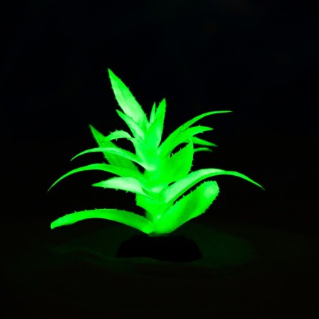 The plant is artificial aquarium, luminous, 10 cm, green-4