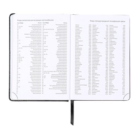 Dated diary 2025 b6 168 sheets, Devente. Wild, a hard cover to leatzers with foam rubber, perforation, liesse, block 70, black-11