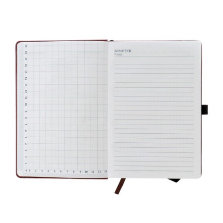 Diary of a low -up a5, 140 sheets in a cage, elastic band, leatherette cover, mix-3