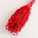 Set of dried flowers "oats", banch length 60-65 (+/- 6 cm), red