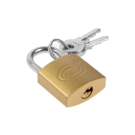 The castle of a hinged type 14, 25 mm, 2 keys