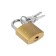 The castle of a hinged type 14, 25 mm, 2 keys