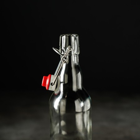 Bugwell bottle, 500 ml, with a traffic jam, the color is transparent-6