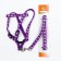 The set of stitched "paws", leash 120 x 1 cm, OG 23-35 cm, purple