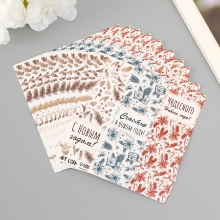 Sticker Paper "Fir branches and cones" 3x9 cm sheet 10x10 cm-4