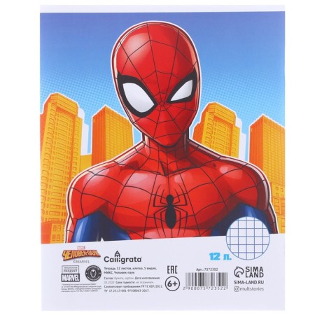 Gift set for a boy, 10 items, Spider-Man-6