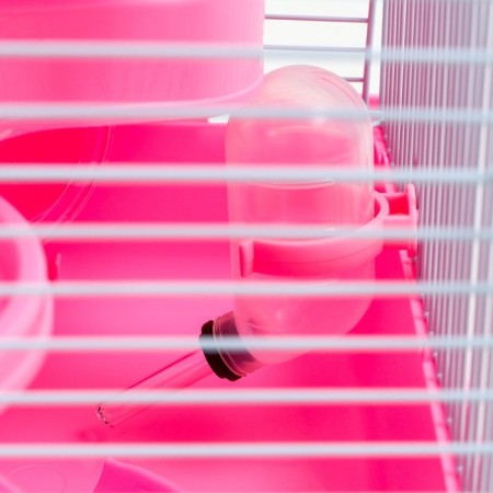 A cage for small rodents "Pigzon", with a filling, 23 x 17 x 40 cm, pink-4