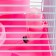 A cage for small rodents "Pigzon", with a filling, 23 x 17 x 40 cm, pink