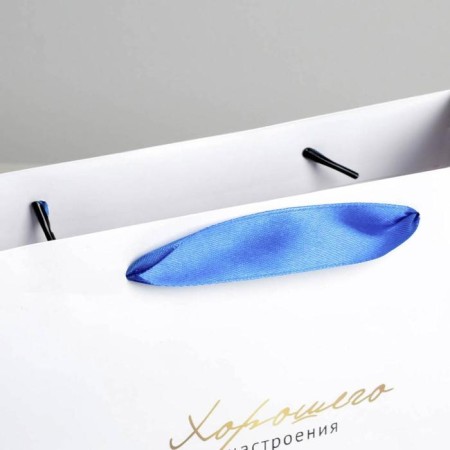 Gift package laminated, packaging, "Harmony", 22 x 17.5 x 8 cm-3