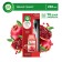 Airwick Freshmatic Air Air Air Wild Pomegranate, with a replaceable cylinder, 250 ml