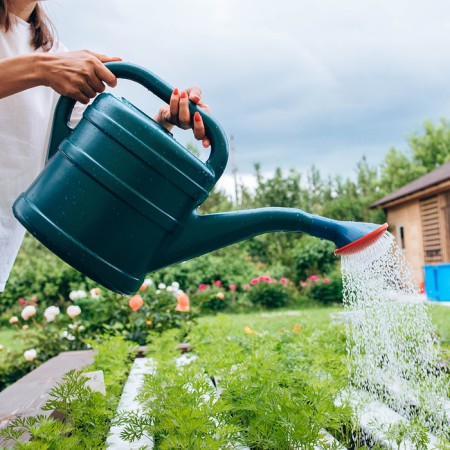 Watering can, 5 l, with a dispatcher, nose d = 35 mm, color mix-4