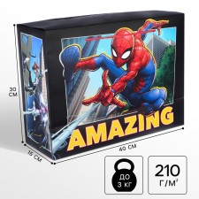 Package-Korobok, 40 x 30 x 15 cm 