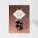 Brooch "cats" Prince and princess, black color in gold