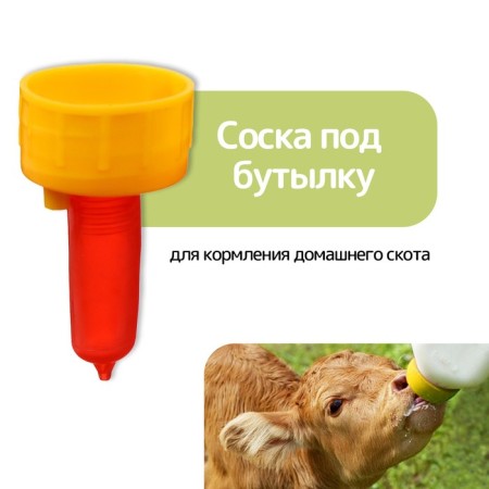 Nipple for a bottle for feeding livestock, plastic, Greengo