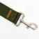 Leash 2 m x 4 cm, green