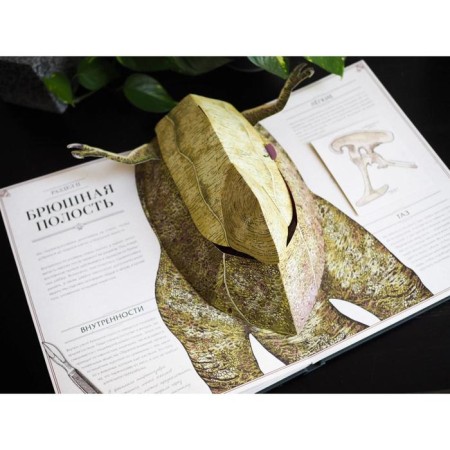 Tyrannosaurus Rex. Interactive paranorama book. Dixon D.-3