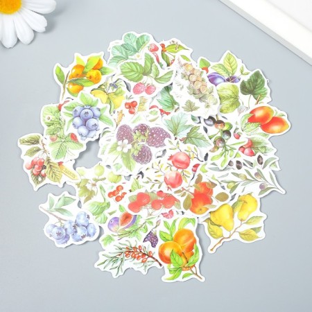 Stickers for creativity "Fruit Garden" set of 50 pcs 4.5x6.5x1.1 cm
