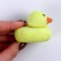 Growing toy "Duck" 6 × 6 × 7.5 cm