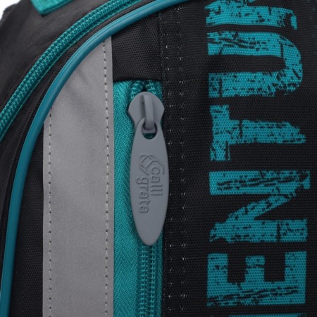 School backpack, 37 x 26 x 13 cm, ergonomic back, calligrata ORT "Call"-12