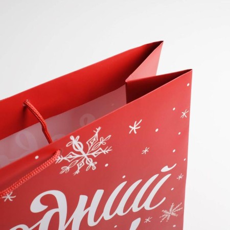 Package Gift Laminated Horizontal "New Year's Gift", L 40 x 31 x 11.5 cm, New Year-3